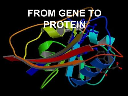 FROM GENE TO PROTEIN.
