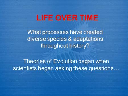 LIFE OVER TIME What processes have created diverse species & adaptations throughout history? Theories of Evolution began when scientists began asking these.