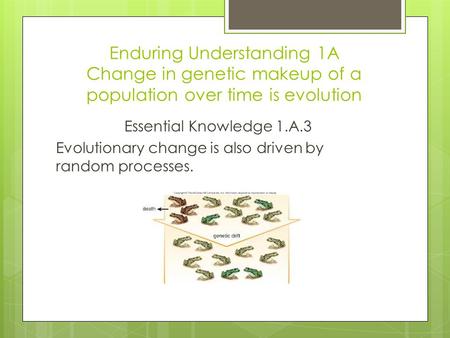 Enduring Understanding 1A Change in genetic makeup of a population over time is evolution Essential Knowledge 1.A.3 Evolutionary change is also driven.