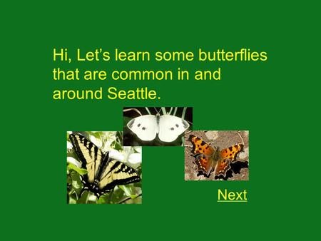 Hi, Lets learn some butterflies that are common in and around Seattle. Next.
