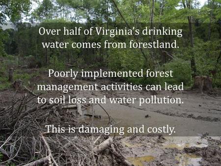Over half of Virginias drinking water comes from forestland. Poorly implemented forest management activities can lead to soil loss and water pollution.