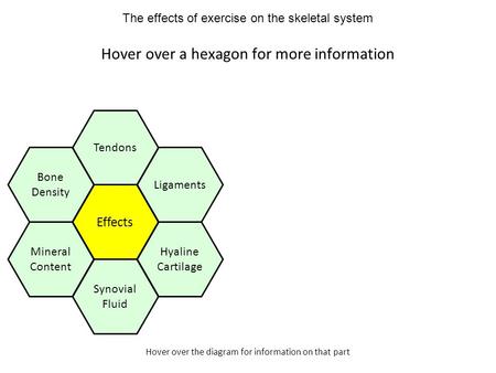 Hover over the diagram for information on that part Hover over a hexagon for more information Effects Tendons Ligaments Hyaline Cartilage Mineral Content.
