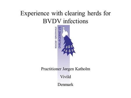 Experience with clearing herds for BVDV infections Practitioner Jørgen Katholm Vivild Denmark.