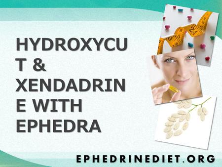 HYDROXYCUT & XENDADRINE WITH EPHEDRA