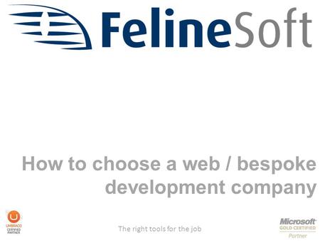 The right tools for the job How to choose a web / bespoke development company.