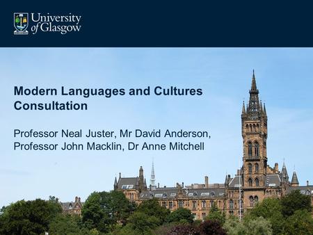 Modern Languages and Cultures Consultation Professor Neal Juster, Mr David Anderson, Professor John Macklin, Dr Anne Mitchell.