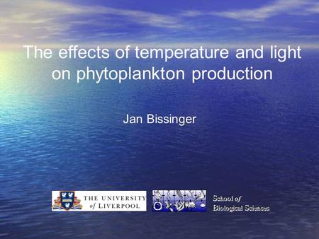 The effects of temperature and light on phytoplankton production Jan Bissinger S chool of B iological S ciences S chool of B iological S ciences.
