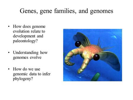 Genes, gene families, and genomes How does genome evolution relate to development and paleontology? Understanding how genomes evolve How do we use genomic.