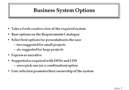 Business System Options