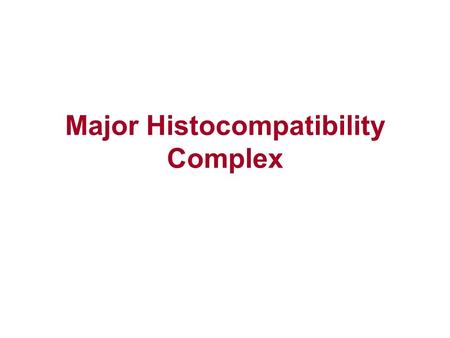Major Histocompatibility Complex. Principles of Immune Response Highly specific recognition of foreign antigens Mechanisms for elimination of microbes.