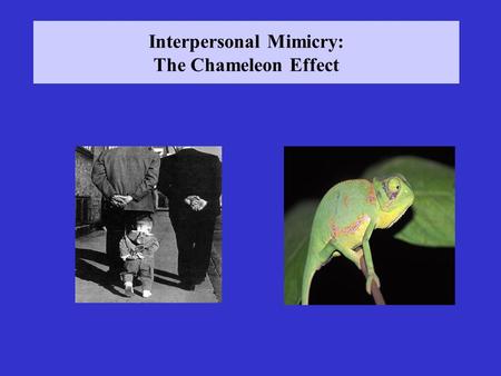 Interpersonal Mimicry: The Chameleon Effect