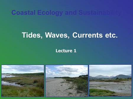 Coastal Ecology and Sustainability