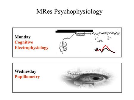 Monday Cognitive Electrophysiology Wednesday Pupillometry MRes Psychophysiology.
