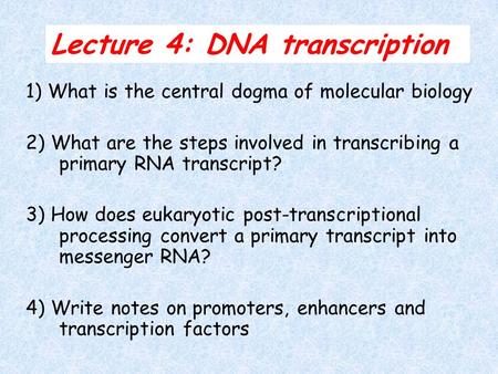Lecture 4: DNA transcription