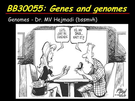 BB30055: Genes and genomes Genomes - Dr. MV Hejmadi (bssmvh)