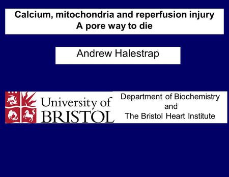 Andrew Halestrap Calcium, mitochondria and reperfusion injury