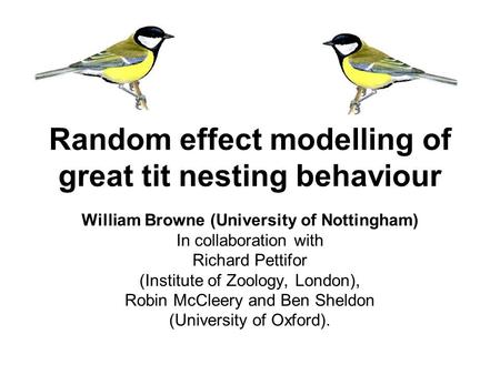 Random effect modelling of great tit nesting behaviour William Browne (University of Nottingham) In collaboration with Richard Pettifor (Institute of Zoology,