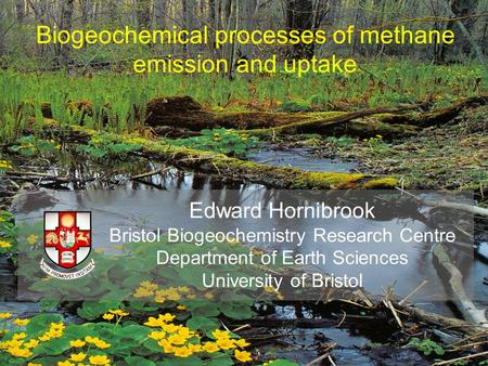 Biogeochemical processes of methane emission and uptake Edward Hornibrook Bristol Biogeochemistry Research Centre Department of Earth Sciences University.