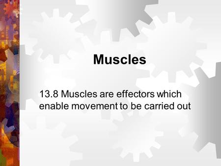 13.8 Muscles are effectors which enable movement to be carried out