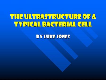 The Ultrastructure Of A Typical Bacterial Cell By Luke Jones.