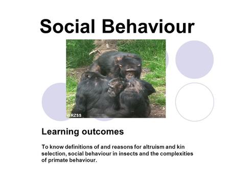Social Behaviour Learning outcomes