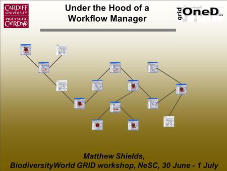 Under the Hood of a Workflow Manager Matthew Shields, BiodiversityWorld GRID workshop, NeSC, 30 June - 1 July T r a ai n.