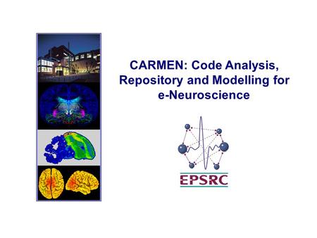 CARMEN: Code Analysis, Repository and Modelling for e-Neuroscience.