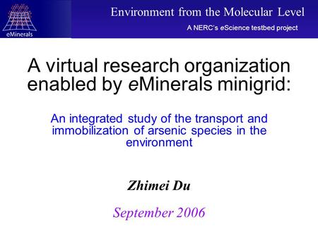 A virtual research organization enabled by eMinerals minigrid: An integrated study of the transport and immobilization of arsenic species in the environment.