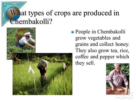 What types of crops are produced in Chembakolli?