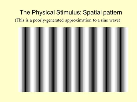 The Physical Stimulus: Spatial pattern (This is a poorly-generated approximation to a sine wave)