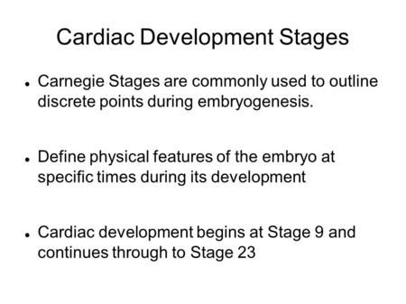 Cardiac Development Stages