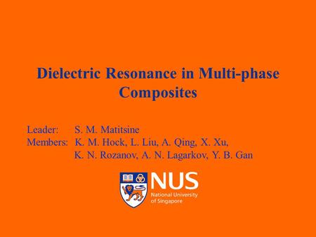TEMASEK LABORATORIES Dielectric Resonance in Multi-phase Composites Leader: S. M. Matitsine Members: K. M. Hock, L. Liu, A. Qing, X. Xu, K. N. Rozanov,