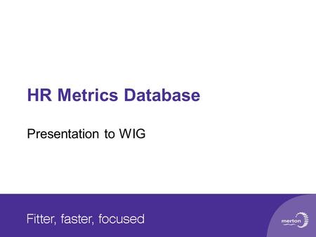 HR Metrics Database Presentation to WIG.