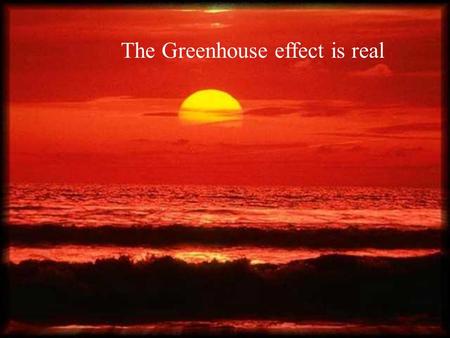 The Greenhouse effect is real. Time is running out…for us and the creatures.