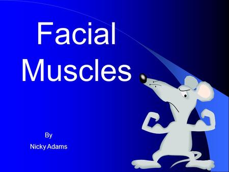 Facial Muscles By Nicky Adams.