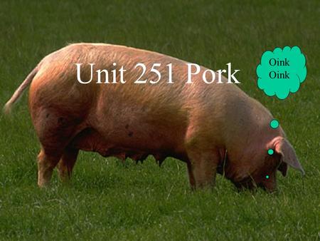 Unit 251 Pork Oink Oink.