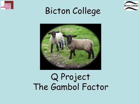 Q Project The Gambol Factor Bicton College. Question Why would the shepherd suspect this sheep will lamb soon? Answer The sheep is isolating herself Answer.