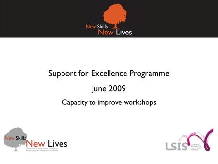 Support for Excellence Programme June 2009 Capacity to improve workshops.