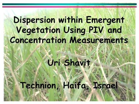 Dispersion within Emergent Vegetation Using PIV and Concentration Measurements Uri Shavit Technion, Haifa, Israel.