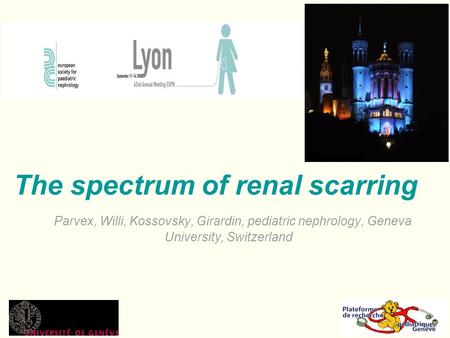 The spectrum of renal scarring