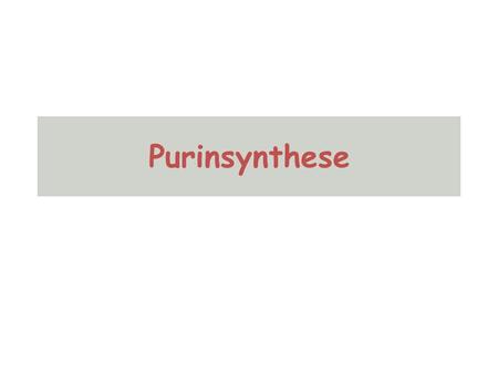 Purinsynthese. O OH HO C O OO P P OOOO PO 5-Phosphoribosyl-1-pyrophosphat (PRPP) H2NH2N COO - O CCH 2 C H + NH 3 GlutamatGlutamin COO -- OOCCH 2 C H +
