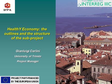 1 HealthY Economy: the outlines and the structure of the sub-project Gianluigi Carlini University of Trieste Project Manager.