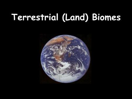 Terrestrial (Land) Biomes. Cornell Notes White – to the left of the line Green – to the right of the line Yellow – don’t take Red - review.