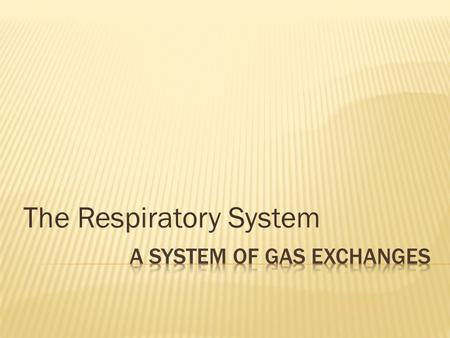 The Respiratory System. KEY CONCEPT The respiratory system exchanges oxygen and carbon dioxide.