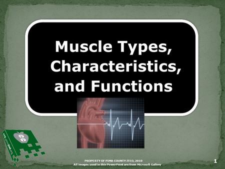 PROPERTY OF PIMA COUNTY JTED, 2010 1 Muscle Types, Characteristics, and Functions All images used in this PowerPoint are from Microsoft Gallery.