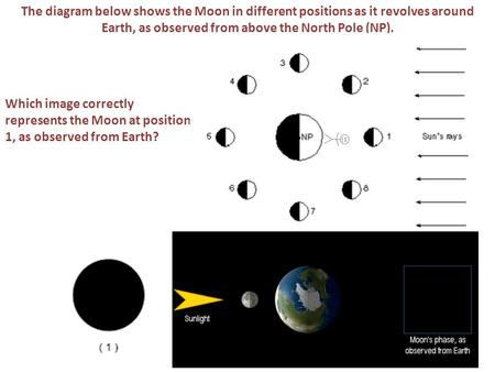 The diagram below shows the Moon in different positions as it revolves around Earth, as observed from above the North Pole (NP). Which image correctly.