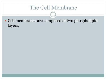 The Cell Membrane Cell membranes are composed of two phospholipid layers.