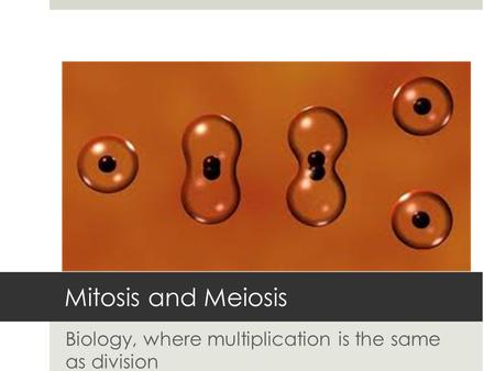 Mitosis and Meiosis Biology, where multiplication is the same as division.