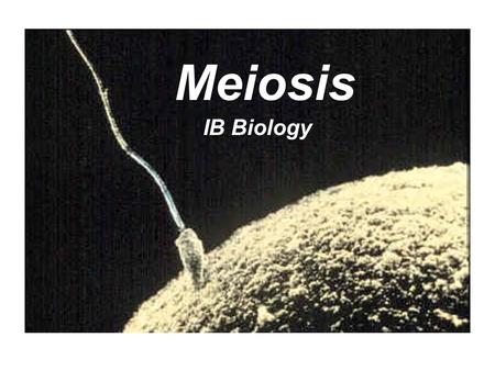 Meiosis IB Biology. Meiosis – cell division for the production of gametes (sperm or egg or spores) Called “reduction division” because it divides the.