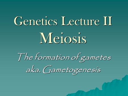 Genetics Lecture II Meiosis The formation of gametes aka. Gametogenesis.